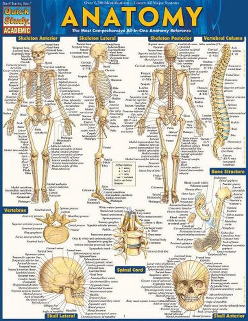 Anatomy - Reference Guide/Product Detail/Healthcare