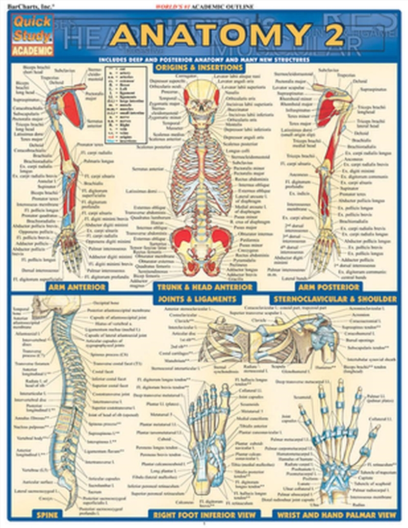 Anatomy 2 - Reference Guide/Product Detail/Healthcare