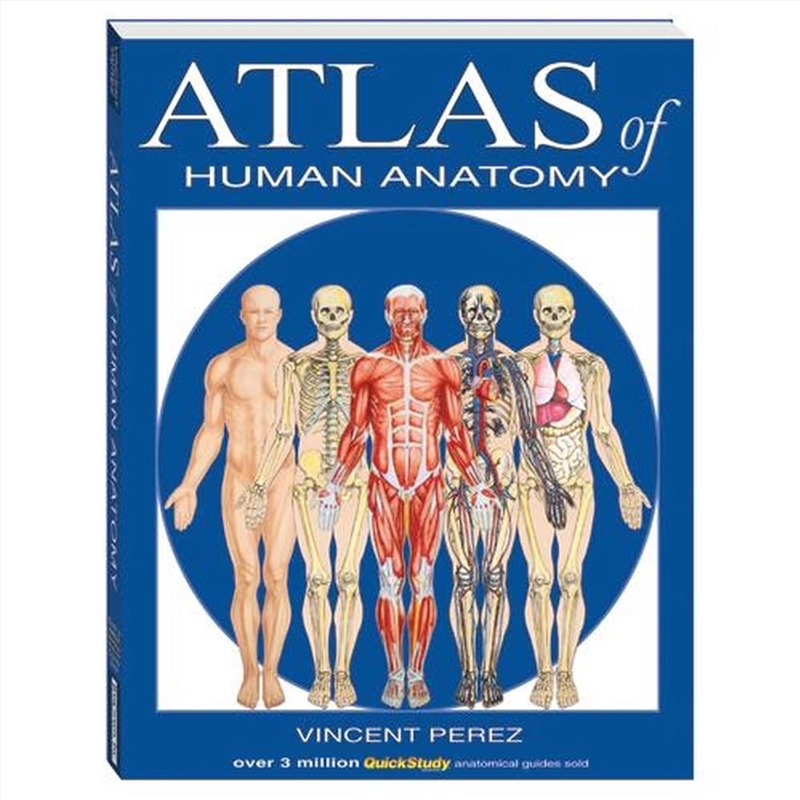 Atlas Of Human Anatomy/Product Detail/Healthcare