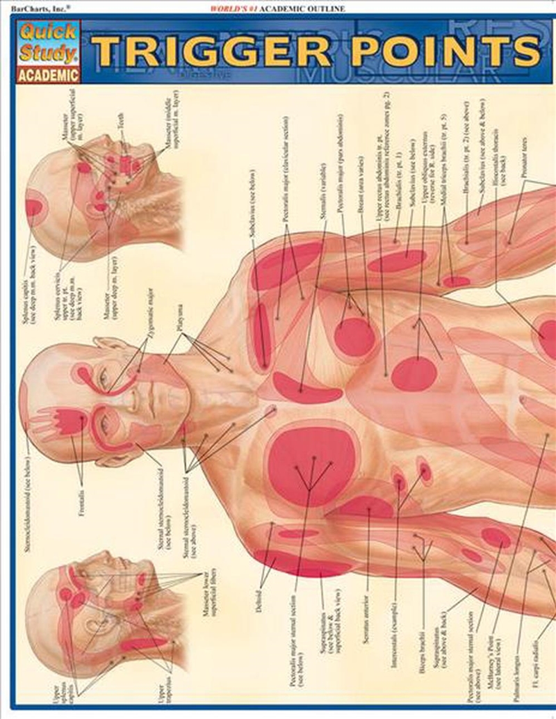 Trigger Points/Product Detail/Healthcare