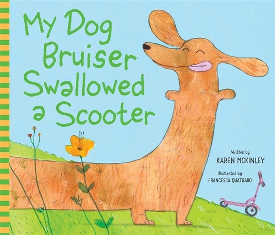 My Dog Bruiser Swallowed a Scooter (HB)/Product Detail/Early Childhood Fiction Books