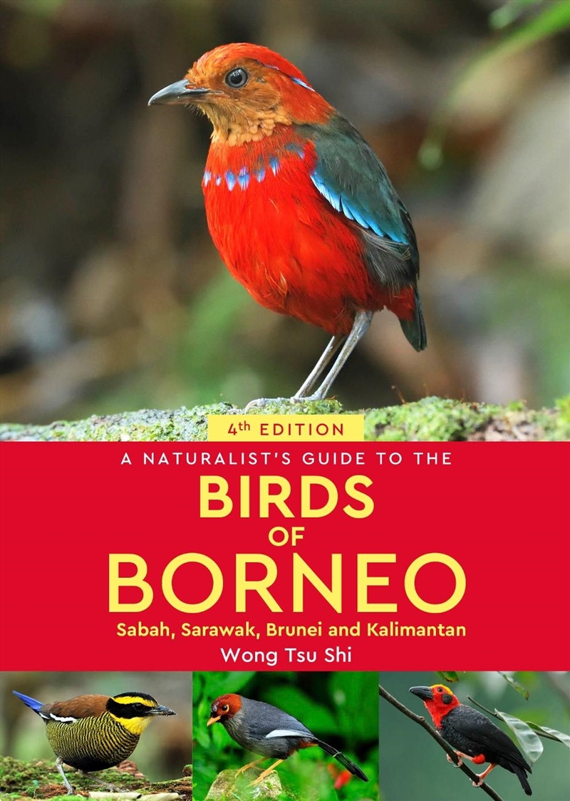 A Naturalist's Guide to the Birds of Borneo/Product Detail/Animals & Nature