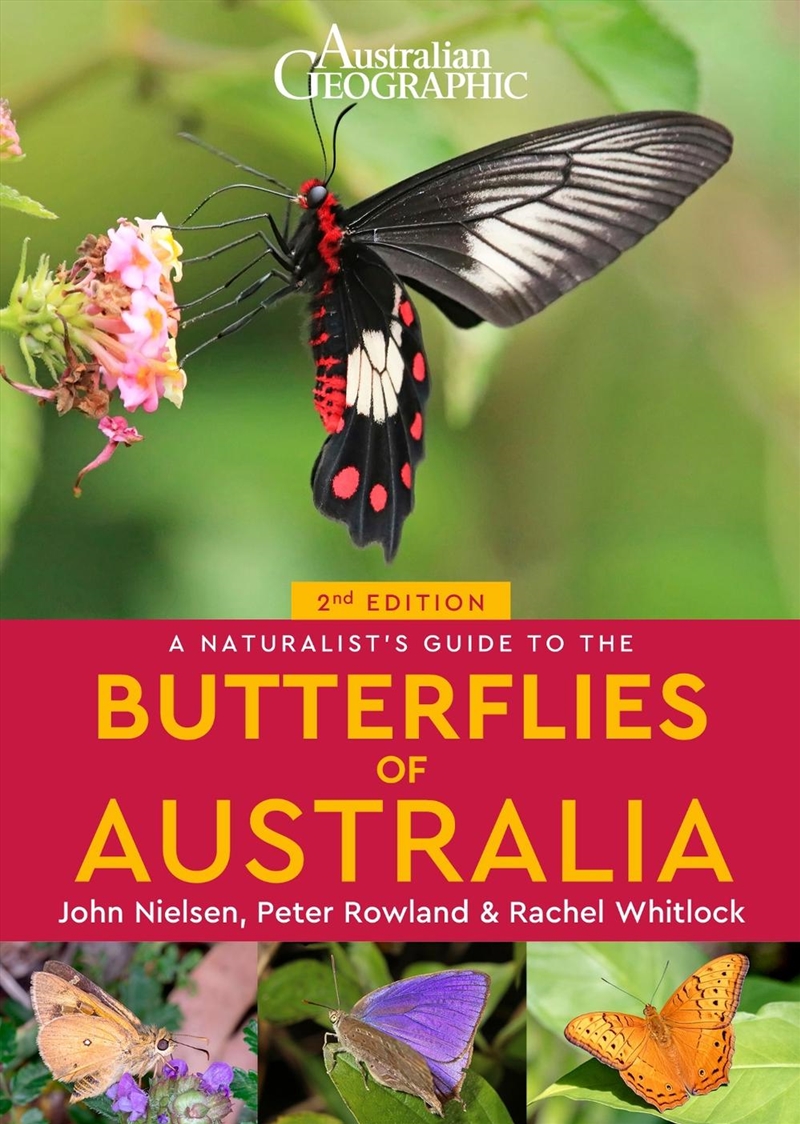 A Naturalist's Guide to the Butterflies of Australia (2nd)/Product Detail/Animals & Nature