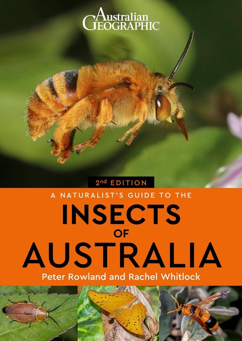 A Naturalist's Guide to the Insects of Australia/Product Detail/Animals & Nature