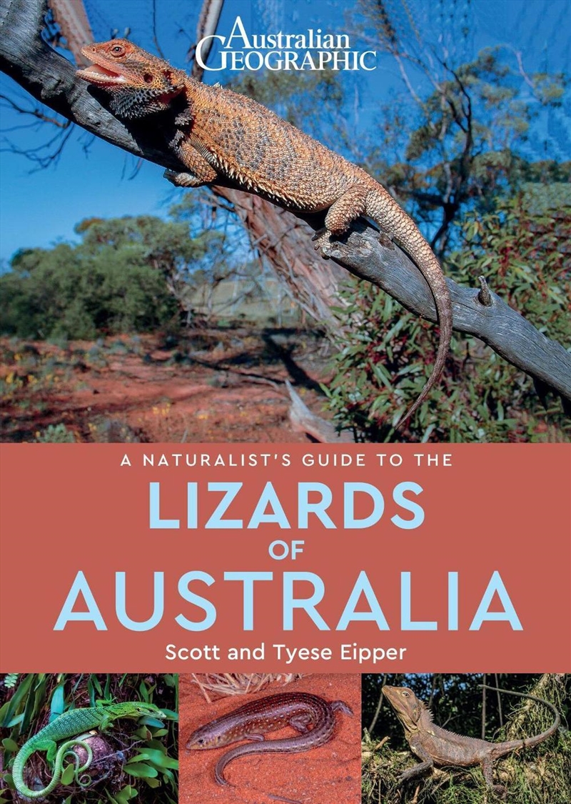 A Naturalist's Guide to the Lizards of Australia/Product Detail/Travel Writing