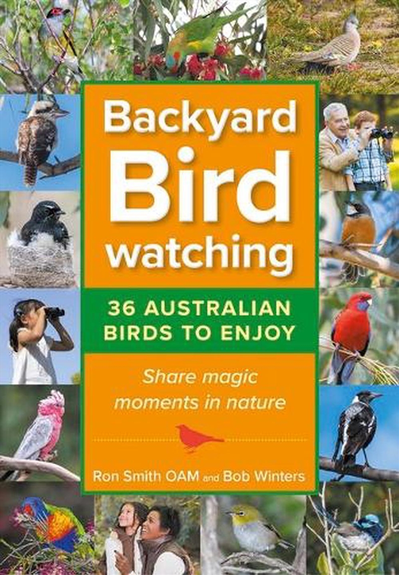 Backyard Birdwatching (Updated Version)/Product Detail/Animals & Nature