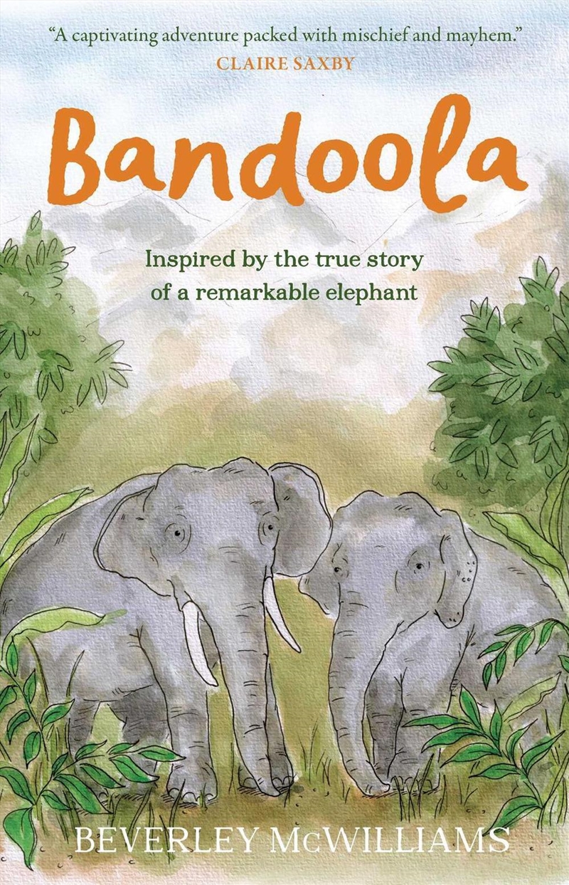 Bandoola/Product Detail/Early Childhood Fiction Books