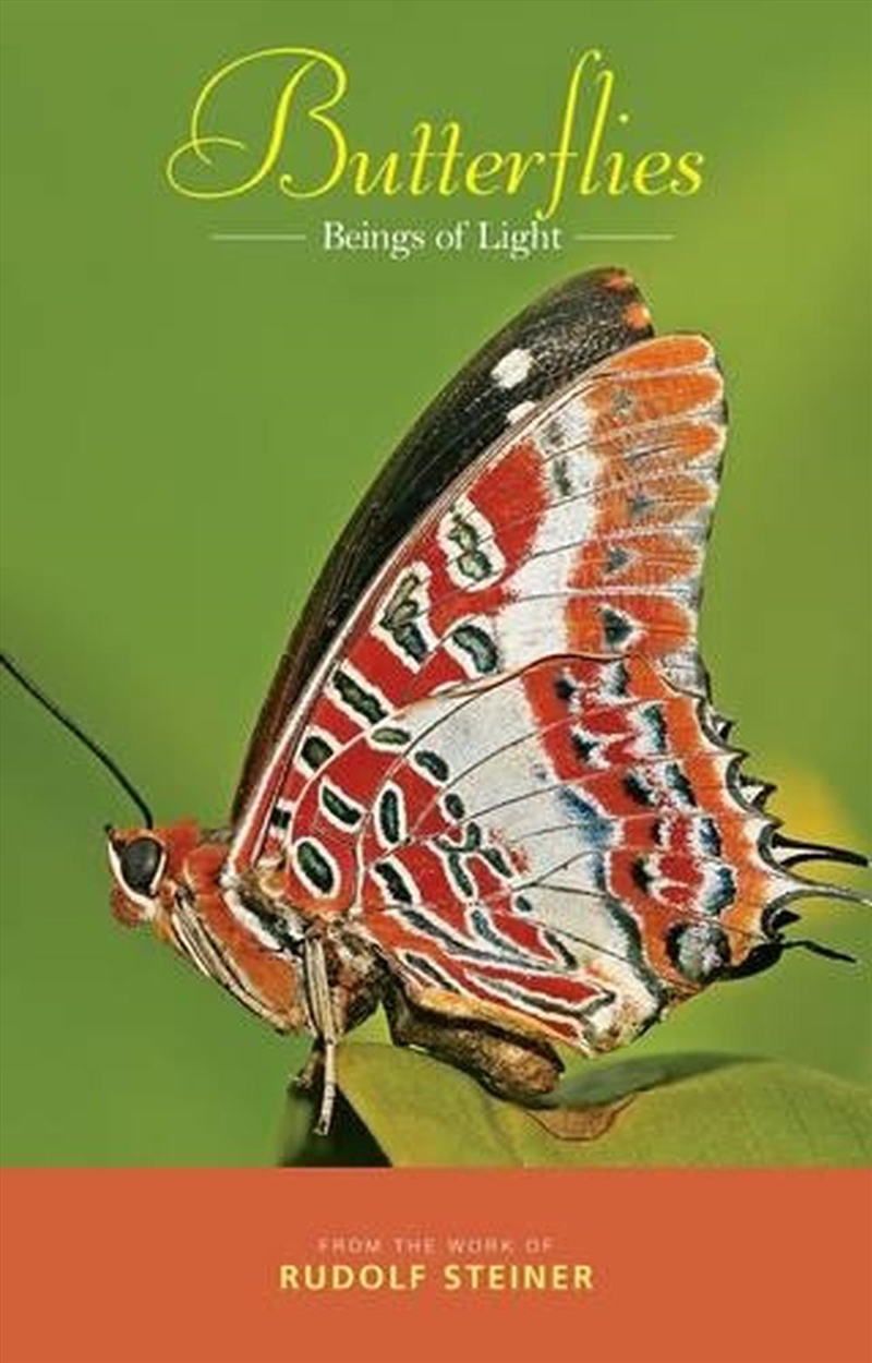 Butterflies/Product Detail/Religion & Beliefs