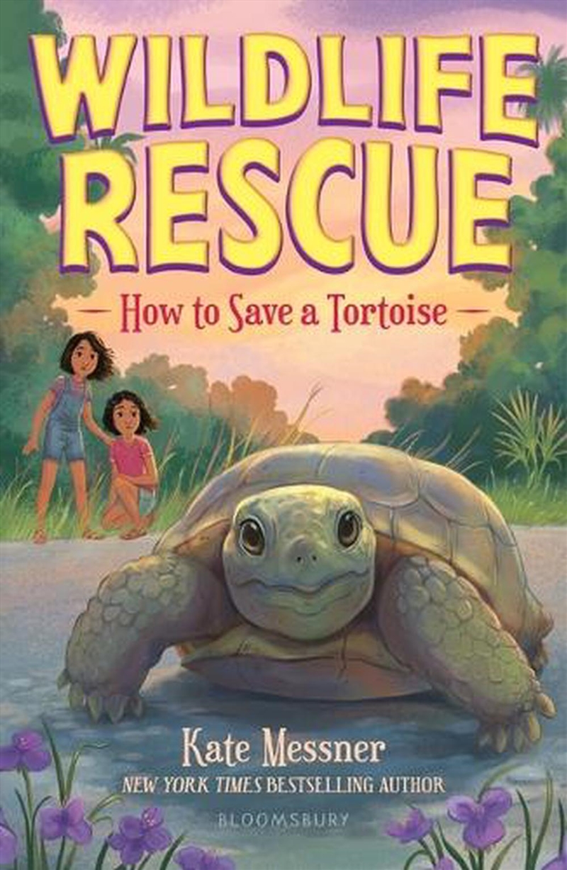 How to Save a Tortoise/Product Detail/Childrens Fiction Books
