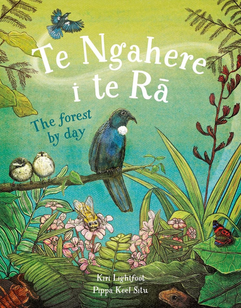 Te Ngahere i te Ra: The forest by day/Product Detail/Early Childhood Fiction Books