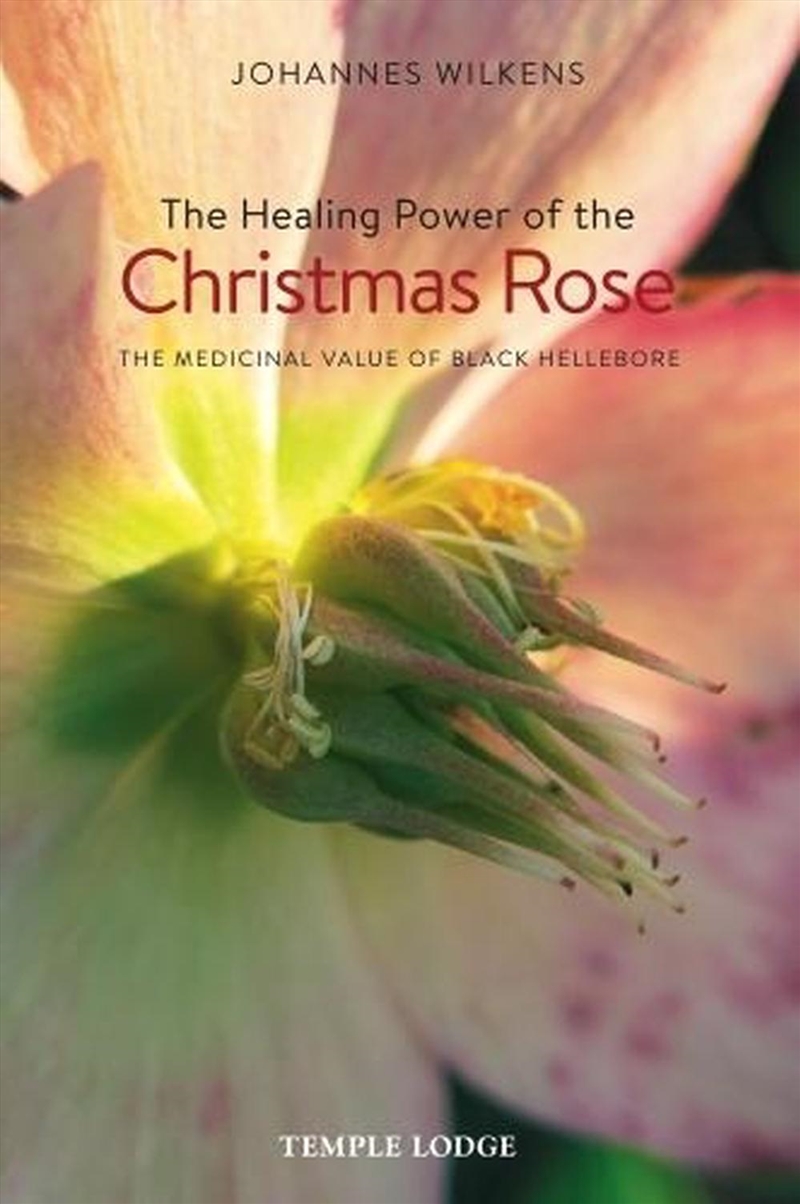 The Healing Power of the Christmas Rose/Product Detail/Religion & Beliefs