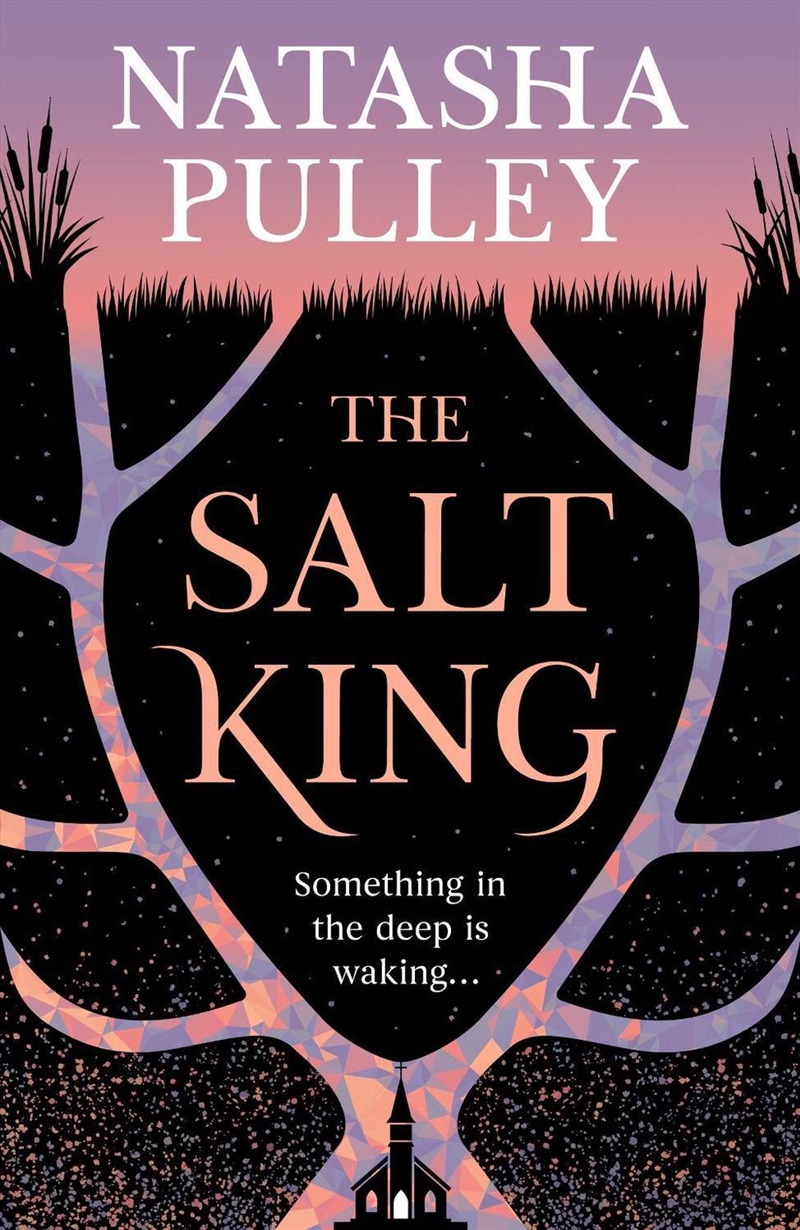 The Salt King/Product Detail/Fantasy Fiction