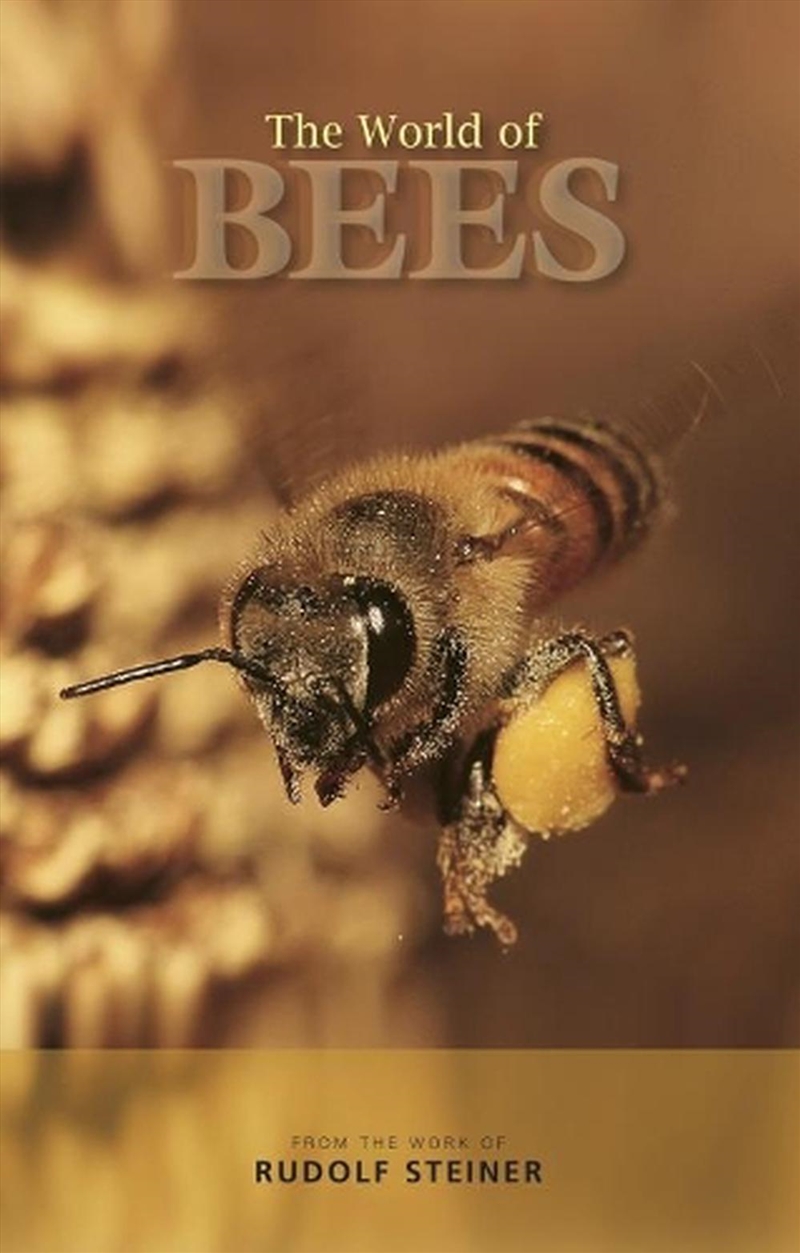 The World of Bees/Product Detail/Animals & Nature