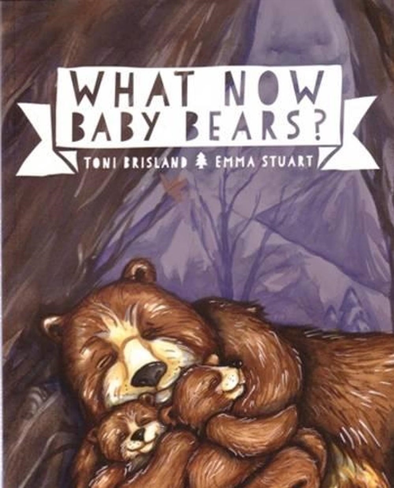 What Now Baby Bears?/Product Detail/Early Childhood Fiction Books
