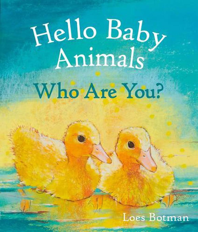 Hello Baby Animals, Who Are You?/Product Detail/Early Childhood Fiction Books