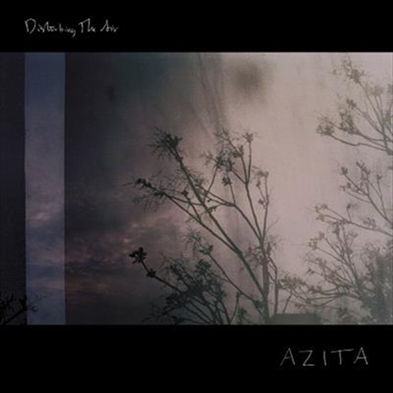 Disturbing The Air/Product Detail/Rock/Pop
