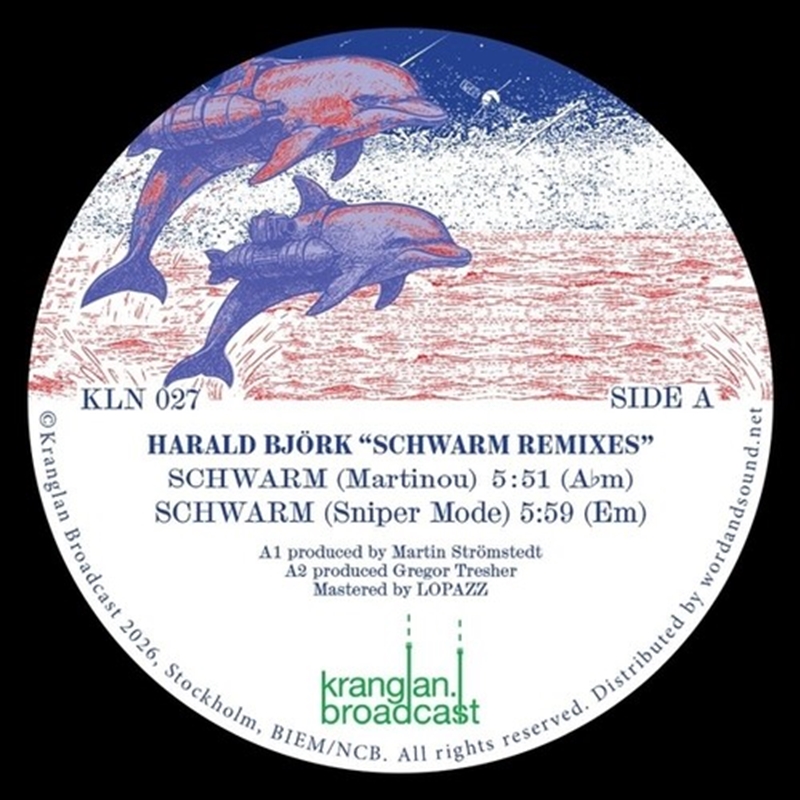 Schwarm Remixes/Product Detail/Dance