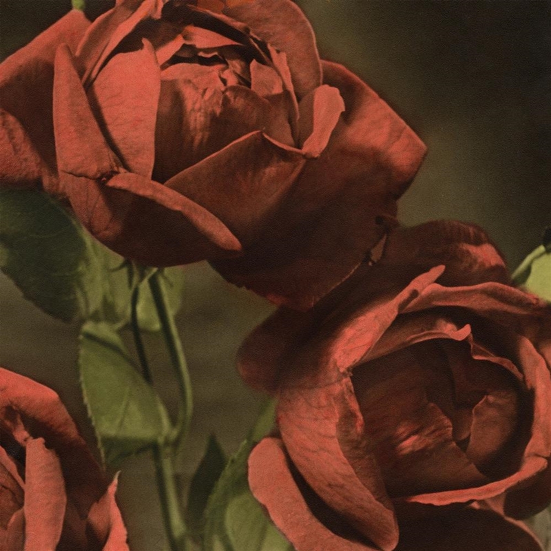Another Country/Product Detail/Alternative