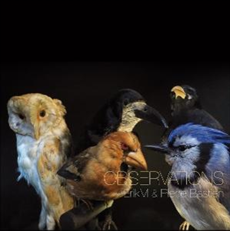 Observations/Product Detail/Dance