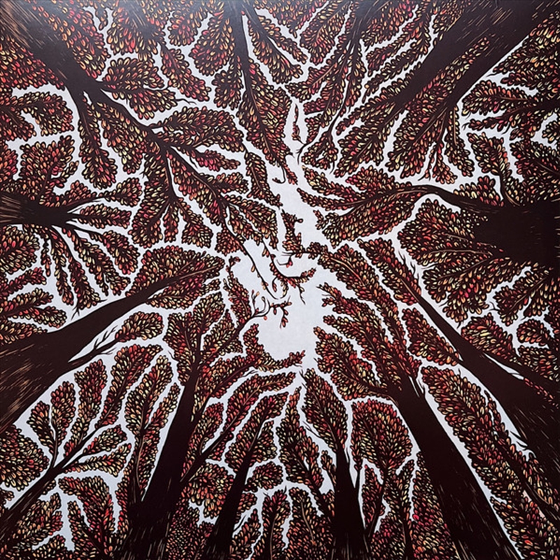 Crown Shyness/Product Detail/Rock/Pop
