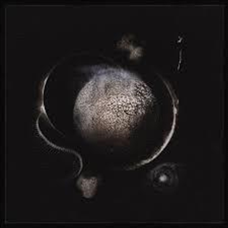 Cold Black Suns - Limited Edition Silver Coloured Vinyl/Product Detail/Metal