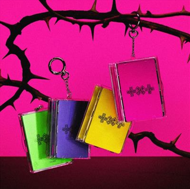 7TH YEAR: A Moment of Stillness in the Thorns (Photocard Case Ver.)/Product Detail/World