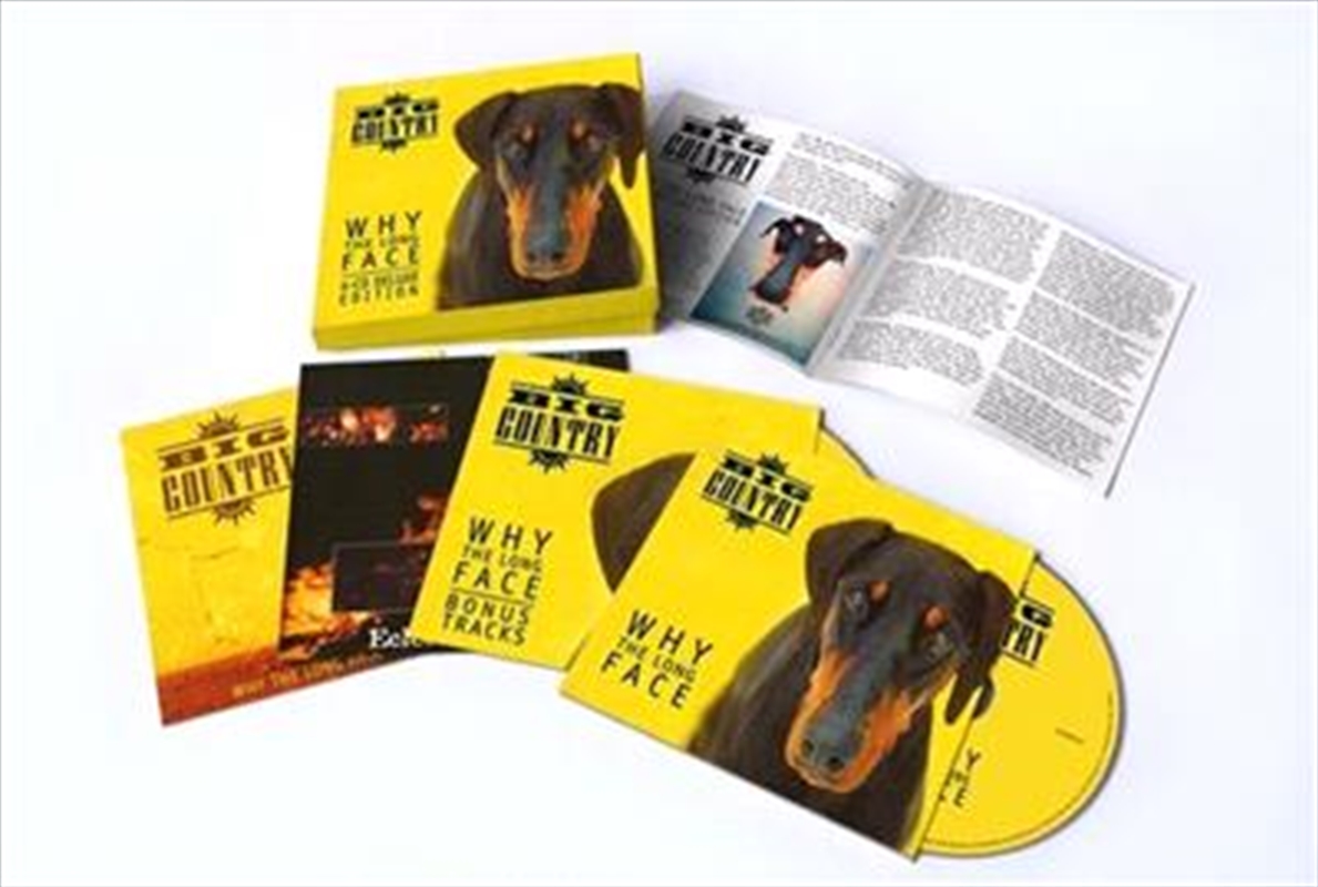 Why The Long Face - Box Set/Product Detail/Rock