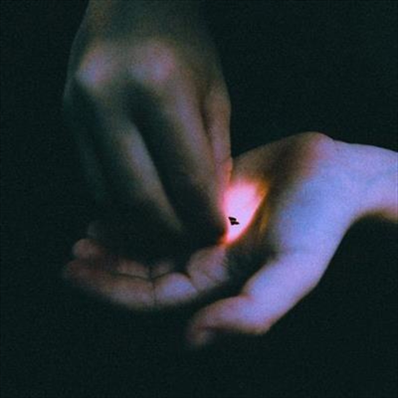 Stray/Product Detail/Rock