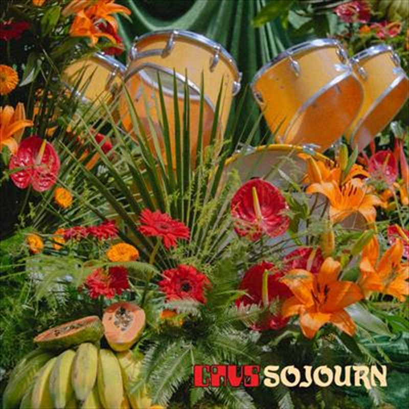 Sojourn - Translucent Orange Vinyl/Product Detail/Alternative
