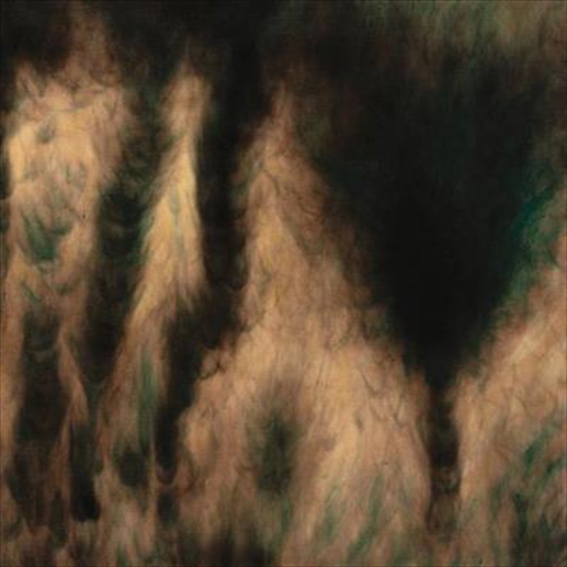 Lamentations/Product Detail/Alternative