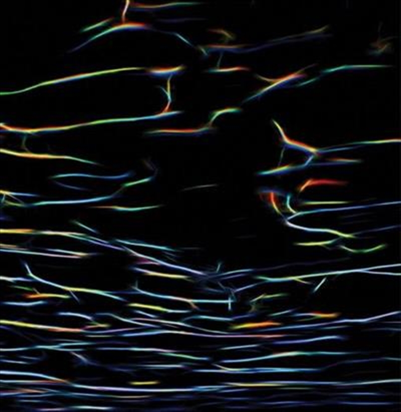 Biokinetics: 2021 25th Ann Ed/Product Detail/Alternative