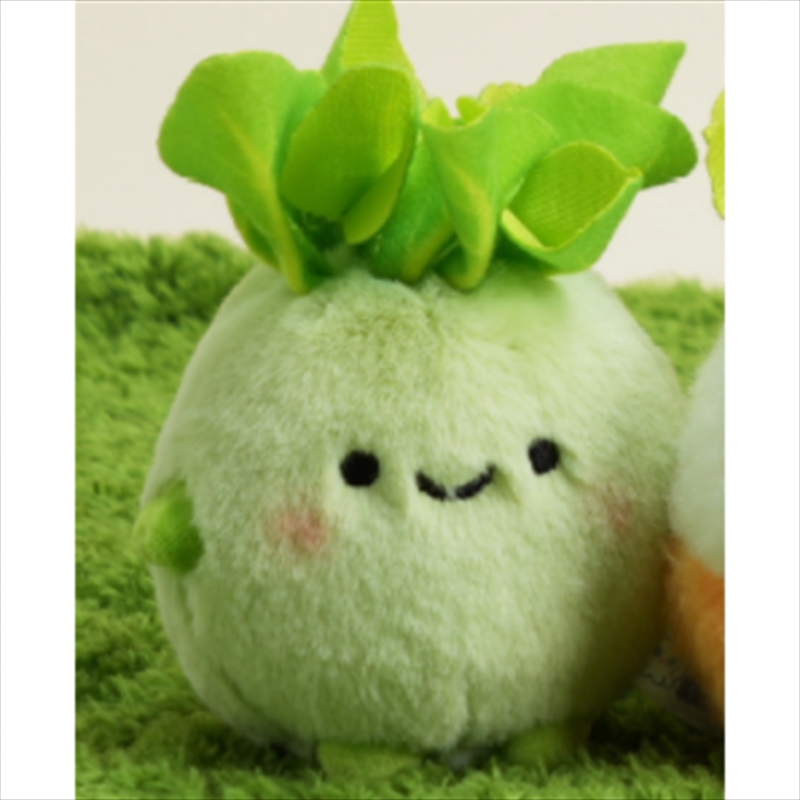 Gatherers' Tavern Veggie Family Plush - Chubby Veggie - S (8cm)/Product Detail/Plush Toys