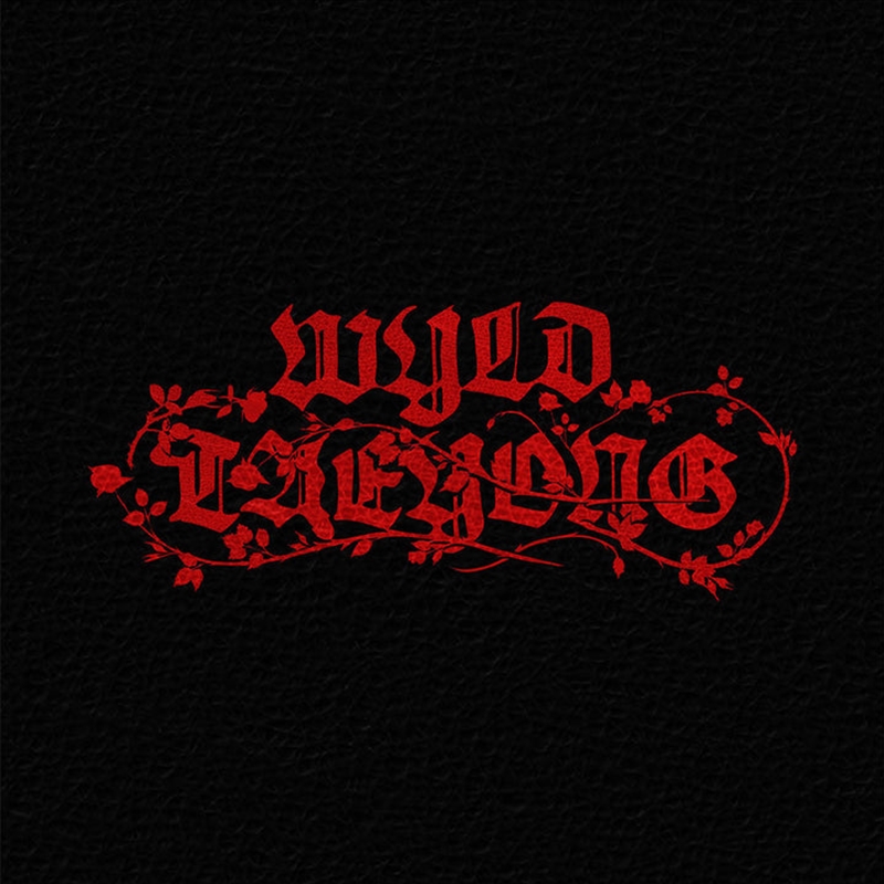 Nct Taeyong - Wyld 1st Album Wyld Book Ver/Product Detail/World