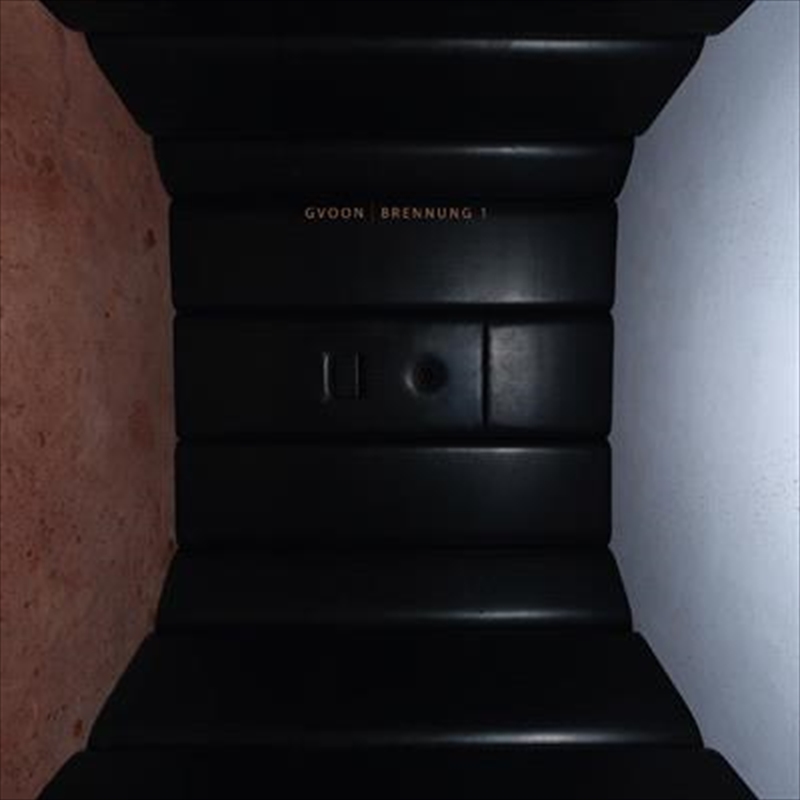 Gvoon - Brennung 1 - Transparent Vinyl/Product Detail/Specialist