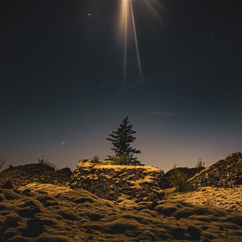 The Second Coming Was A Moonrise/Product Detail/Alternative