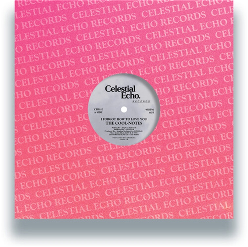 I Forgot How To Love You / Why Can'T We Be Friends/Product Detail/R&B