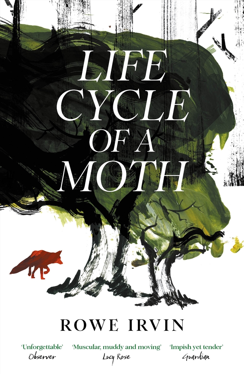 Life Cycle Of A Moth/Product Detail/Modern & Contemporary