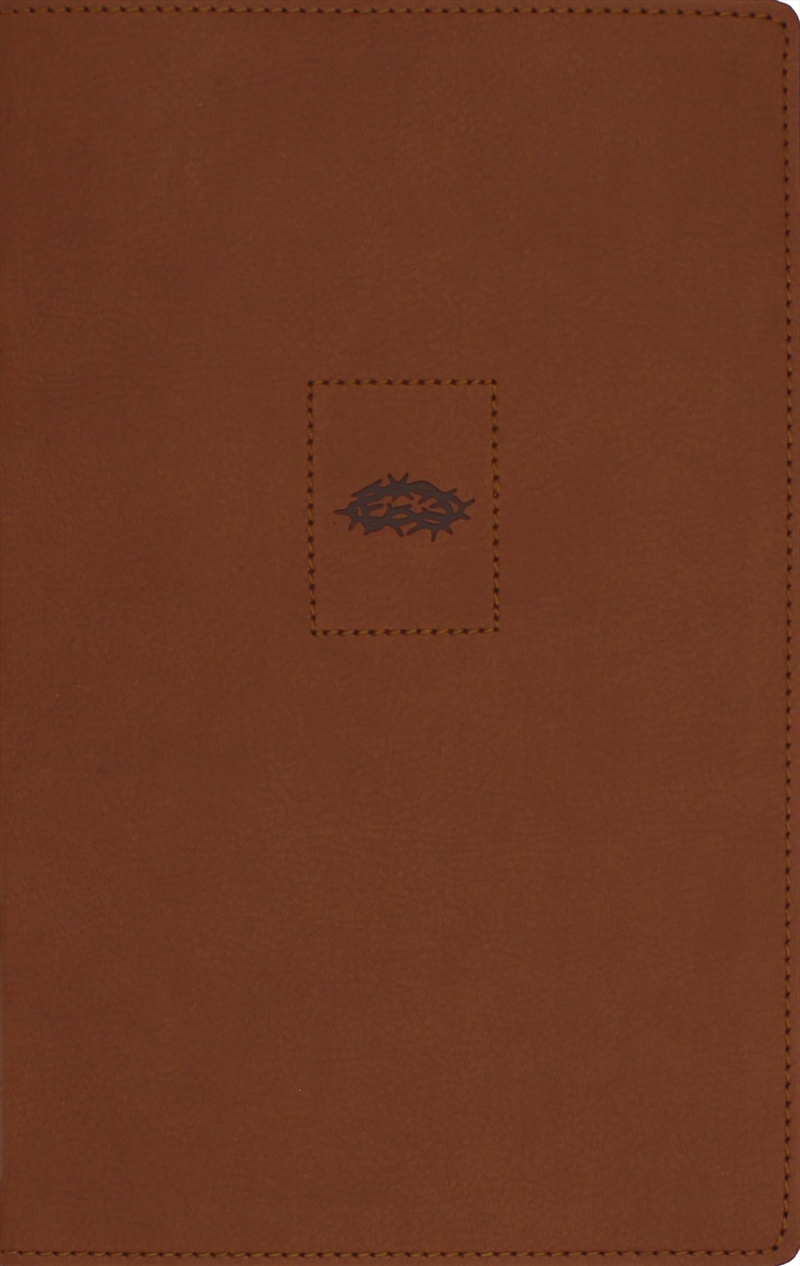 NIV, Heritage Bible, Page Edge Art Edition, Brown, Red Letter, Comf/Product Detail/Religion & Beliefs