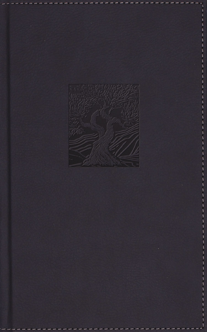 NIV, Heritage Bible, Page Edge Art Edition, Navy, Red Letter/Product Detail/Religion & Beliefs