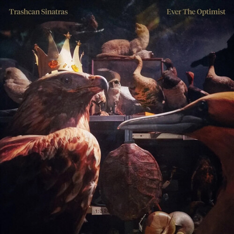 Ever The Optimist/Product Detail/Rock/Pop