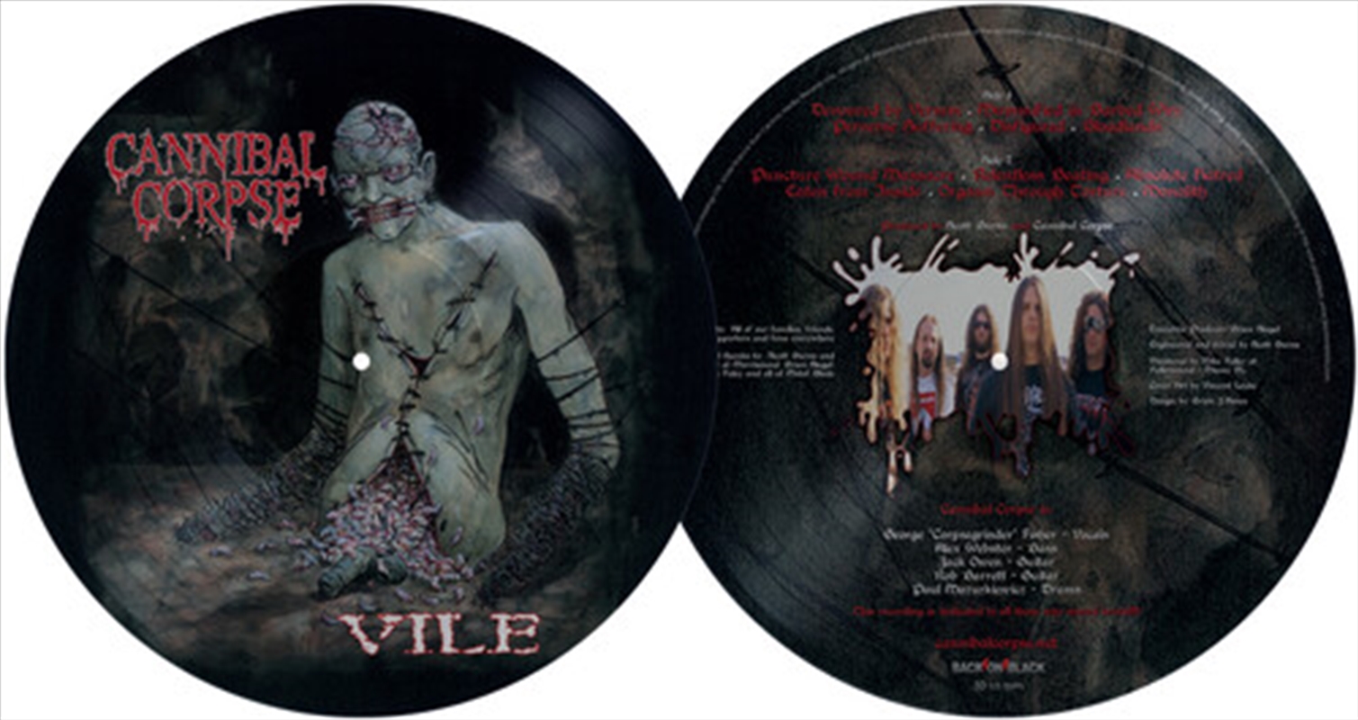 Vile - Picture Disc/Product Detail/Metal