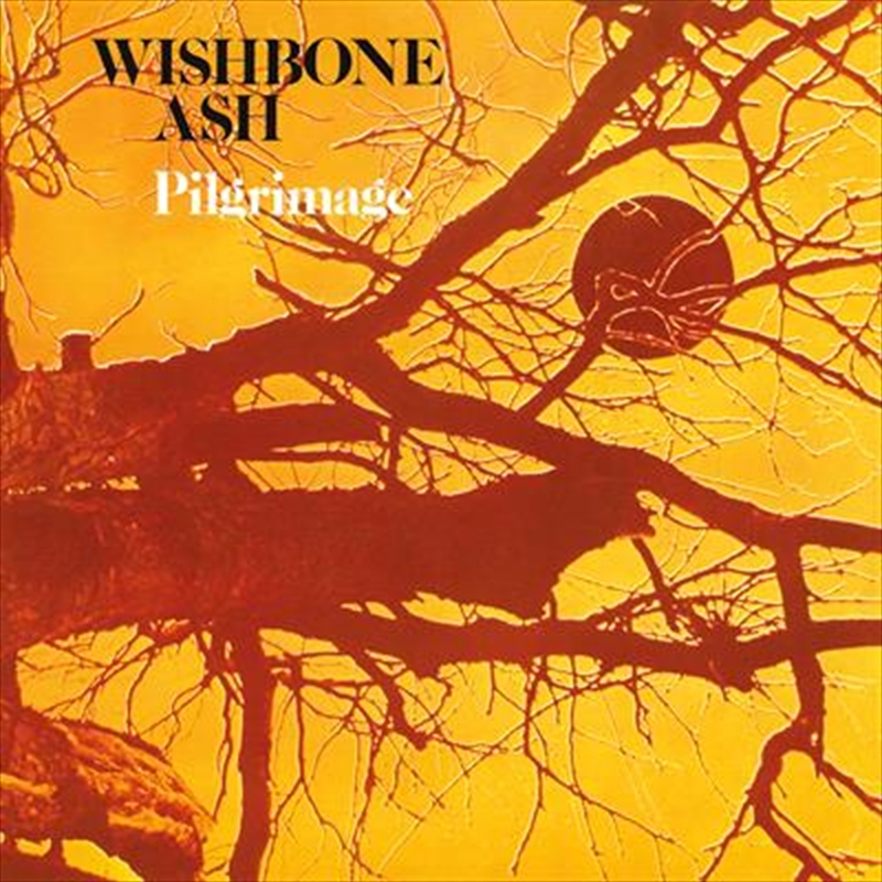 Pilgrimage/Product Detail/Rock/Pop