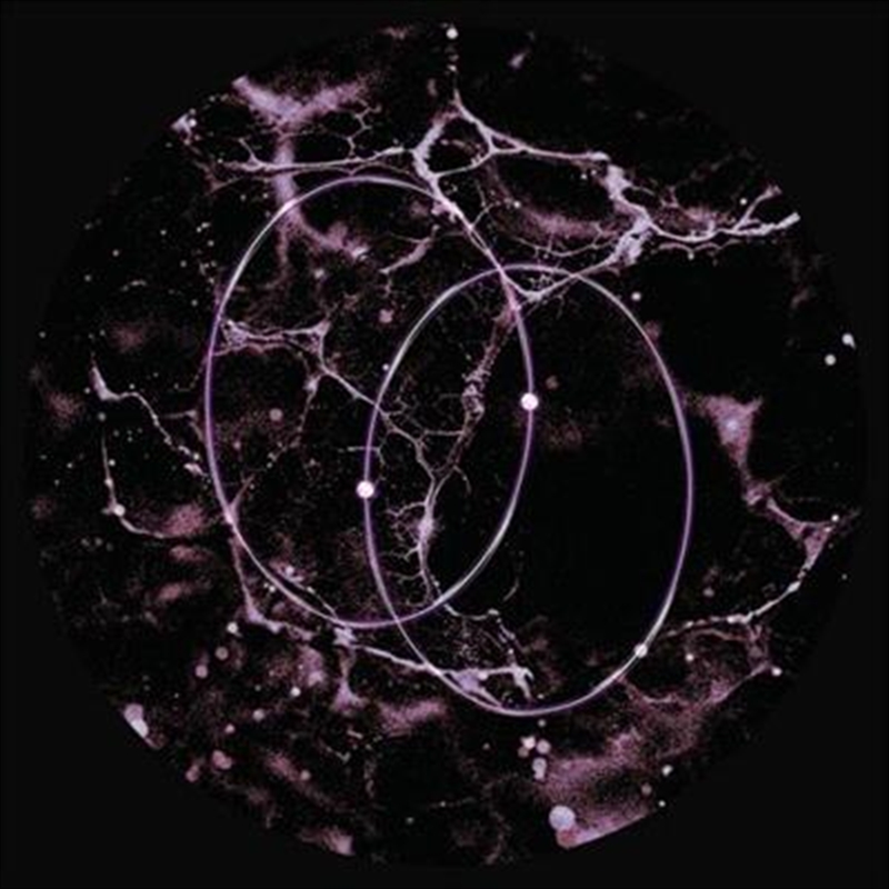 Echolocation/Product Detail/Dance