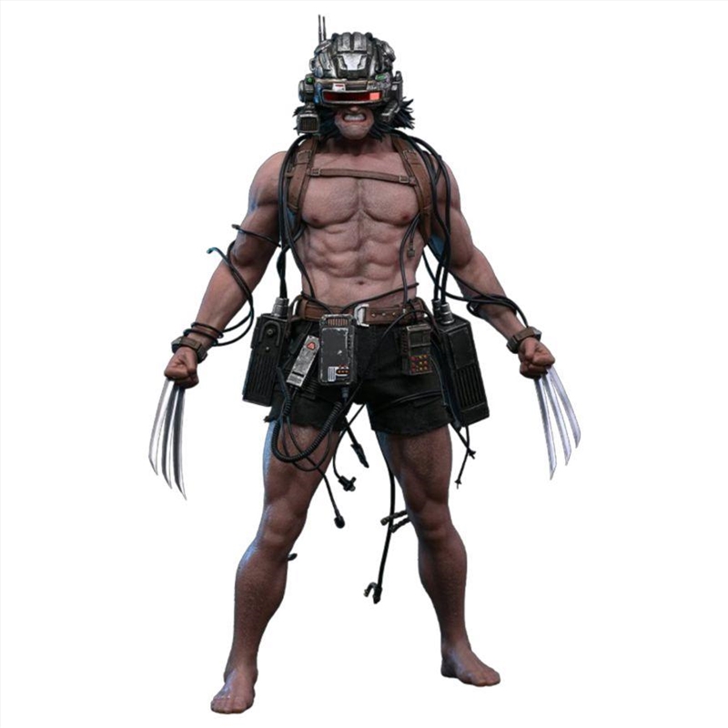 X-Men – Weapon X 1:6 Scale Action Figure/Product Detail/Figurines