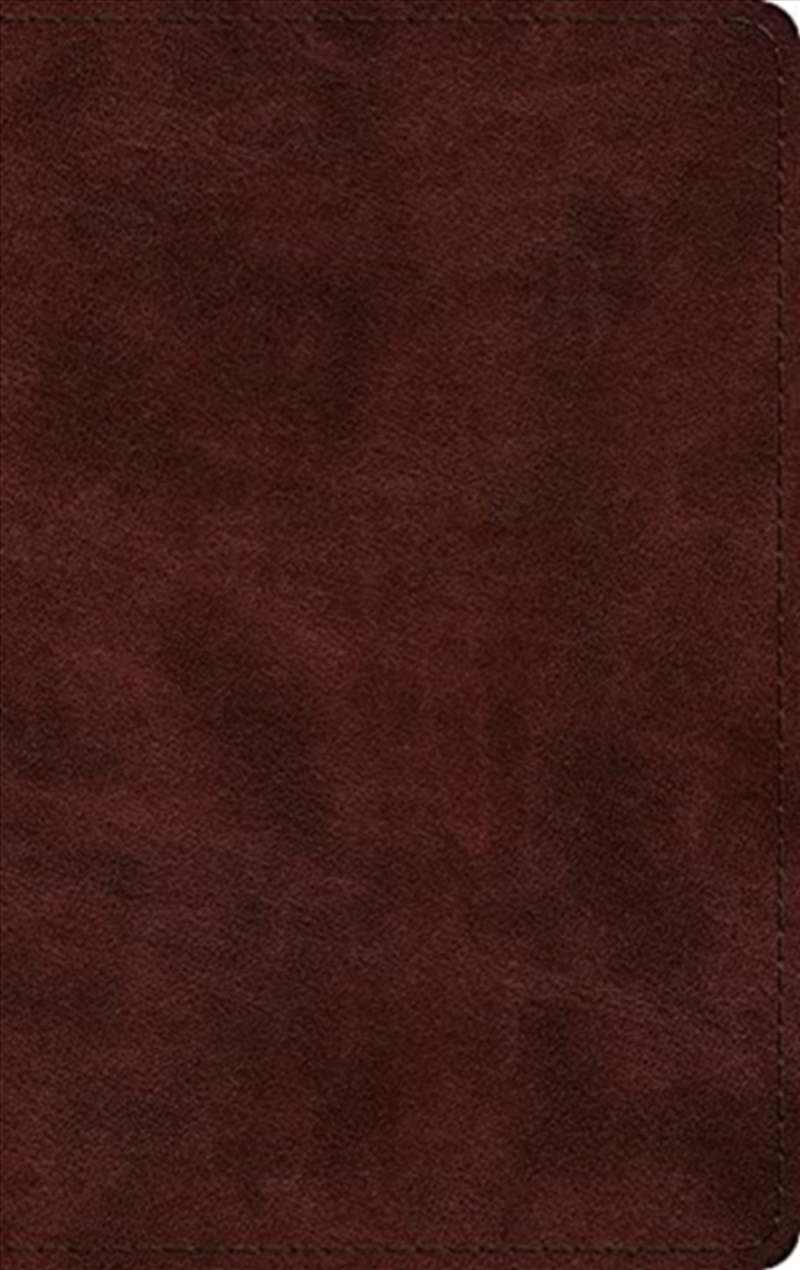 ESV Large Print Thinline Bible/Product Detail/Religion & Beliefs