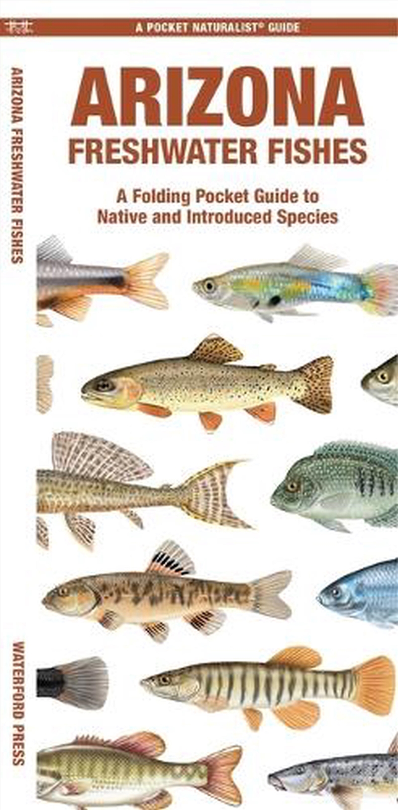 Arizona Freshwater Fishes/Product Detail/Animals & Nature