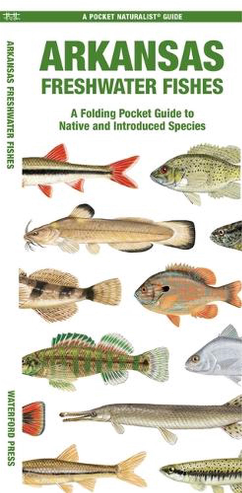 Arkansas Freshwater Fishes/Product Detail/Animals & Nature