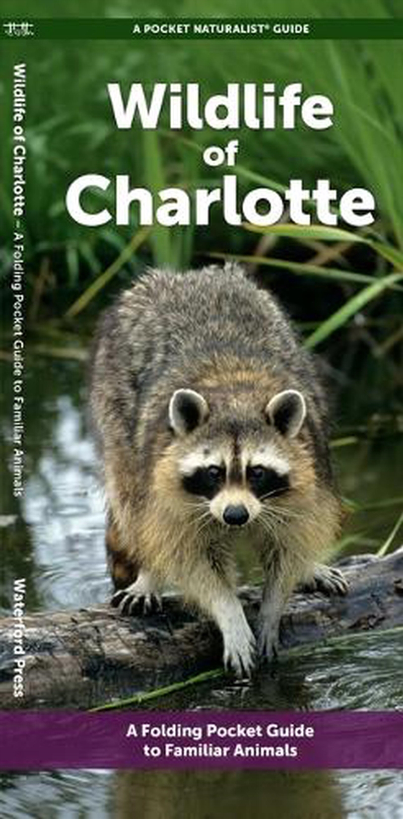 Charlotte Wildlife/Product Detail/Animals & Nature