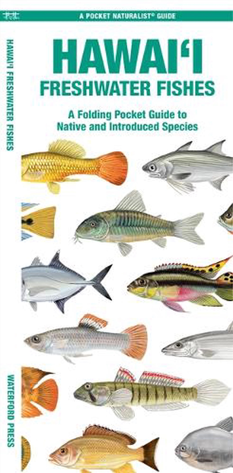 Hawai'i Freshwater Fishes/Product Detail/Animals & Nature