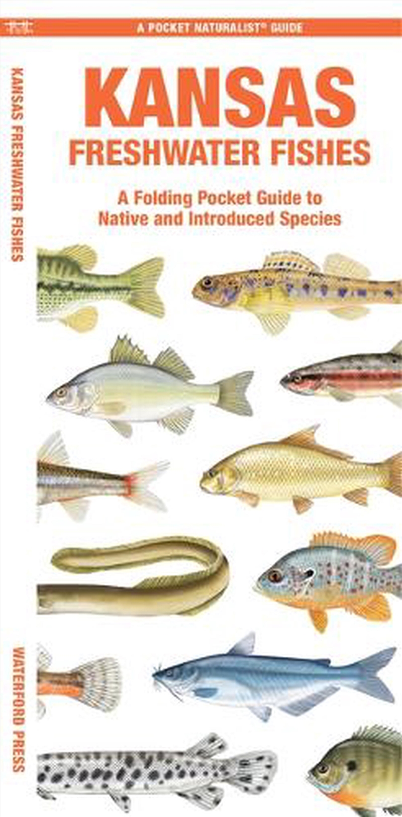 Kansas Freshwater Fishes/Product Detail/Animals & Nature